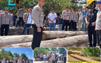 LP NASDEM Apresiasi Langkah Cepat Kapolda, Siapkan Laporan Dugaan Keterlibatan Oknum DPRD dalam Illegal Logging