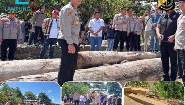 LP NASDEM Apresiasi Langkah Cepat Kapolda, Siapkan Laporan Dugaan Keterlibatan Oknum DPRD dalam Illegal Logging
