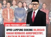 DPRD Lampung Dukung Hilirisasi Kakao Berbasis Agroforestry, Libatkan 18 Ribu Petani