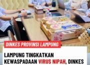 Lampung Tingkatkan Kewaspadaan Virus Nipah, Dinkes Gelar Koordinasi Darurat